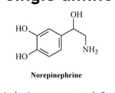 <p>Norepinephrine</p>