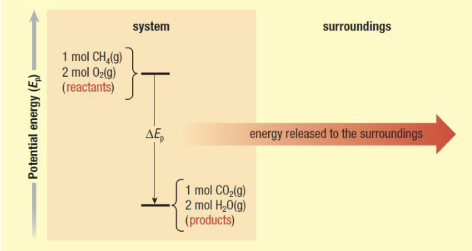 <p>Endothermic or Exothermic?</p>