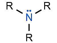 <p></p>