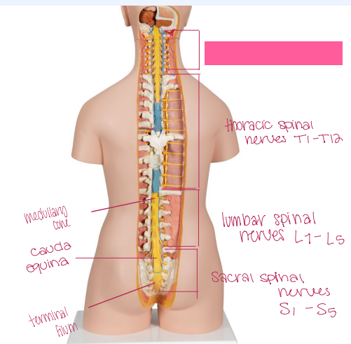 <p>What is being shown?</p>