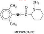 <p>Ester or Amide?</p>