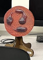 <p>What blood cell model is this?</p>
