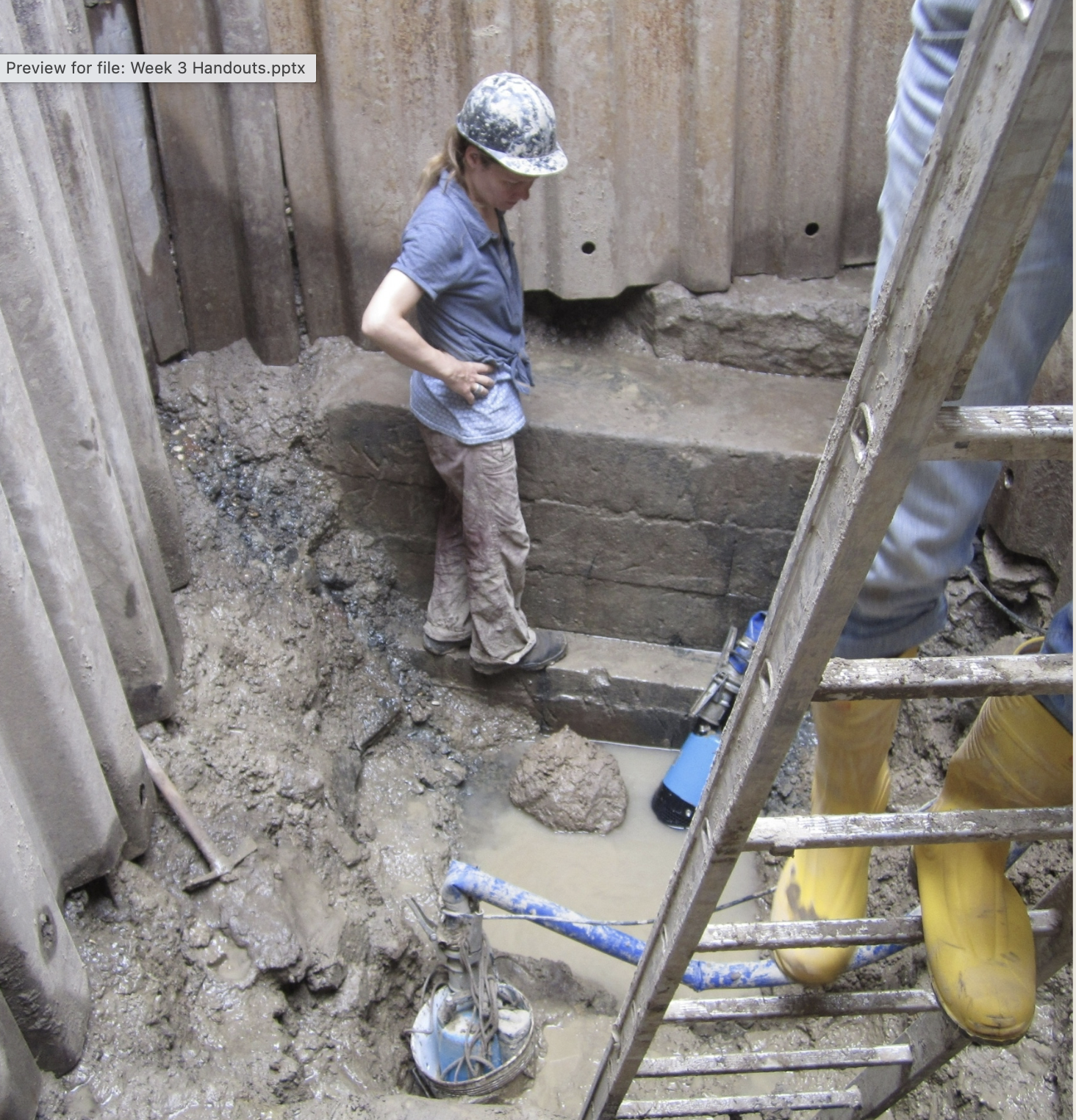 <p>What excavation site is this?</p>