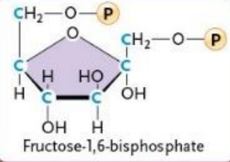 <ul><li><p>Fructorse-6-phosphate → Fructorse-1, 6-bisphosphate</p></li><li><p><strong>ATP → ADP</strong></p></li><li><p>Phosphorylation</p><ul><li><p>Increases instability</p></li></ul></li><li><p>IRREVERSIBLE </p></li></ul><p></p>