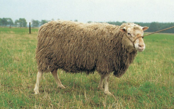 <img src="blob:null/dabce3af-7505-479b-bf51-9ff2037a71aa"><p></p>