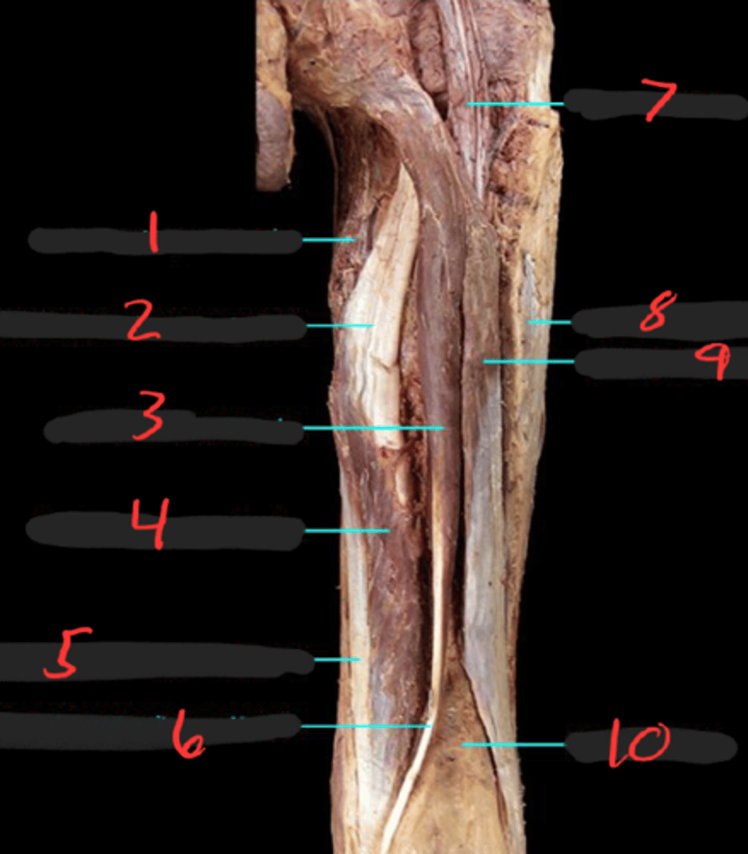 <p>8</p>