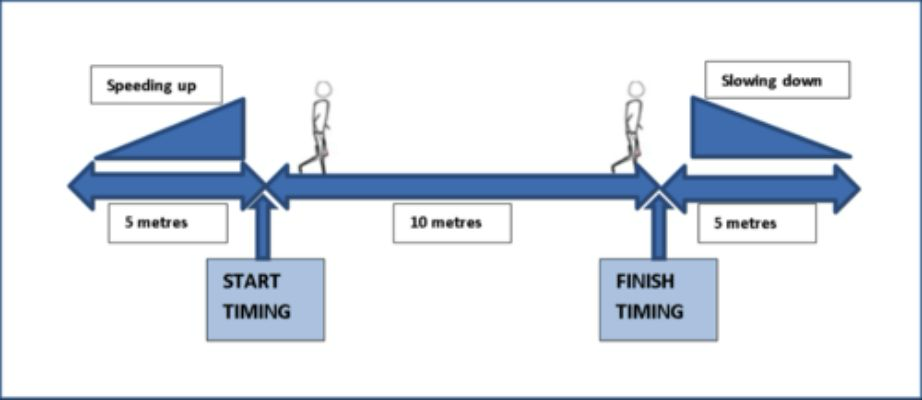 <p>Gait Speed</p>