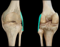 <p>ID joint component</p>