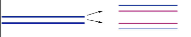 <p>Semiconservative Model of Replication (Watson &amp; Crick)</p>