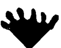 <p>what margin is this?</p>