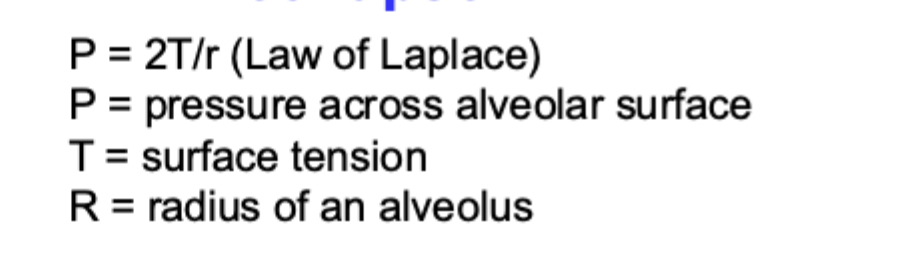 <p>for the same surface tension, a small radius will mean a much higher pressure across that alveoli wall</p><ul><li><p>too high of a pressure will lead to collapse </p></li></ul><p></p>