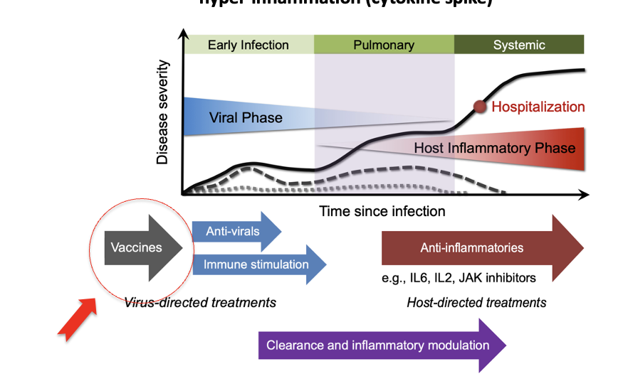 <p><span><strong>effects on other organs via hyper-inflammation (cytokine spike)</strong></span></p>