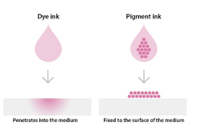<ul><li><p>Dyes: SOLUBLE, stain or blend in, bind to surface to create strong long lasting color, used in cosmetics where color needs to stay</p></li><li><p>Pigments: INSOLUBLE, colored particles that sit on top of surface of application surface to absorb/reflect light, don’t penetrate surface, common in powdered products</p></li></ul><p></p>