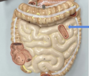 <p>name the parts</p>