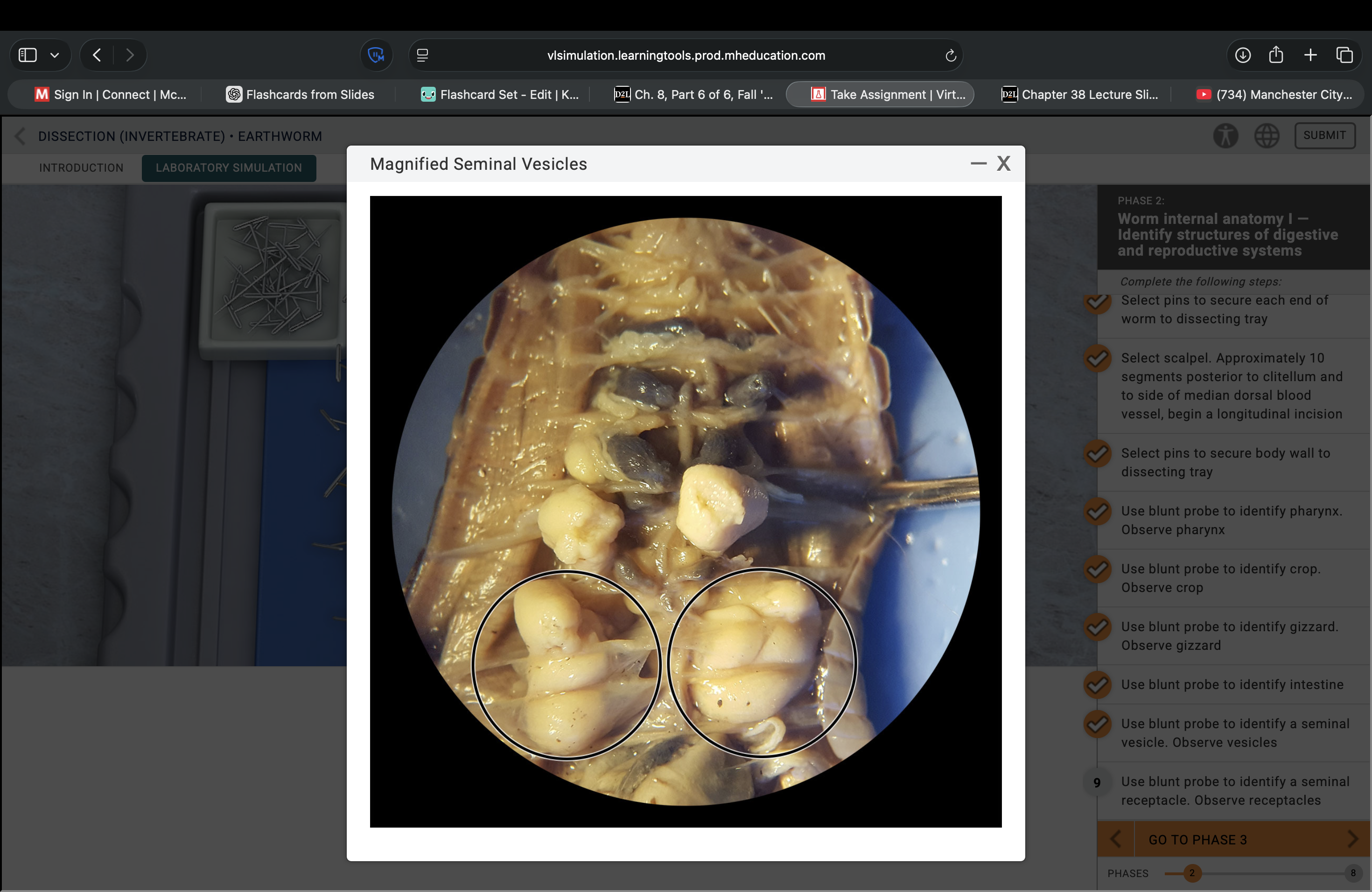 <p>What structure is this pointing to?</p>