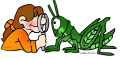 <p>When you notice something with your senses</p><p>the 5 senses: see, hear, smell, touch, taste</p>