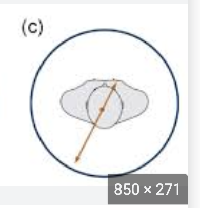 <p>This is an example of </p>