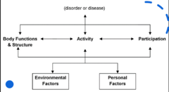 <p>- To provide a scientific basis for understanding and studying health and health related states, outcomes, and determinants</p><p>- To establish a common language for describing health and health-related states in order to improve communication between different users</p><p>- To permit comparison of data across countries, health care disciplines, services and time</p><p>- To provide a systematic coding scheme for health information systems</p>