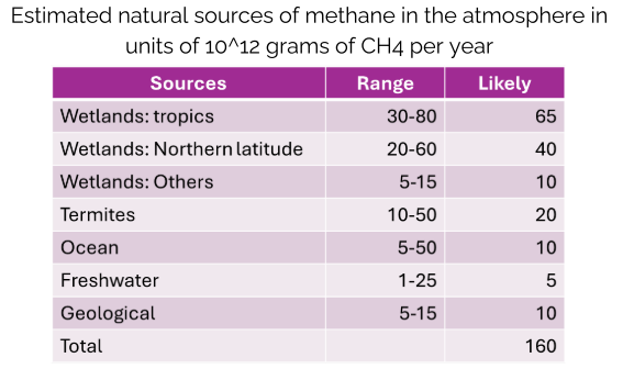 <ul><li><p>Wetlands: tropics (warmer conditions), Northern latitude, and other</p></li><li><p>Termites</p></li><li><p>Ocean </p></li><li><p>Freshwater </p></li><li><p>Geological </p></li><li><p>Ruminants from cows </p></li></ul><p></p>