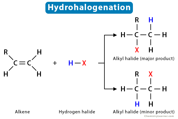 <p>H bonded to halogen  (eg. HF, HCL)</p>