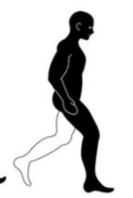 <p>what phase and step number is this?</p>