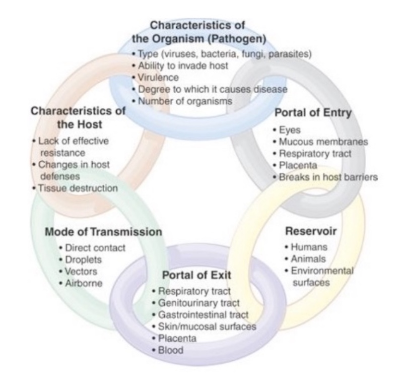 <p>What is the portal of exit in this context?</p>