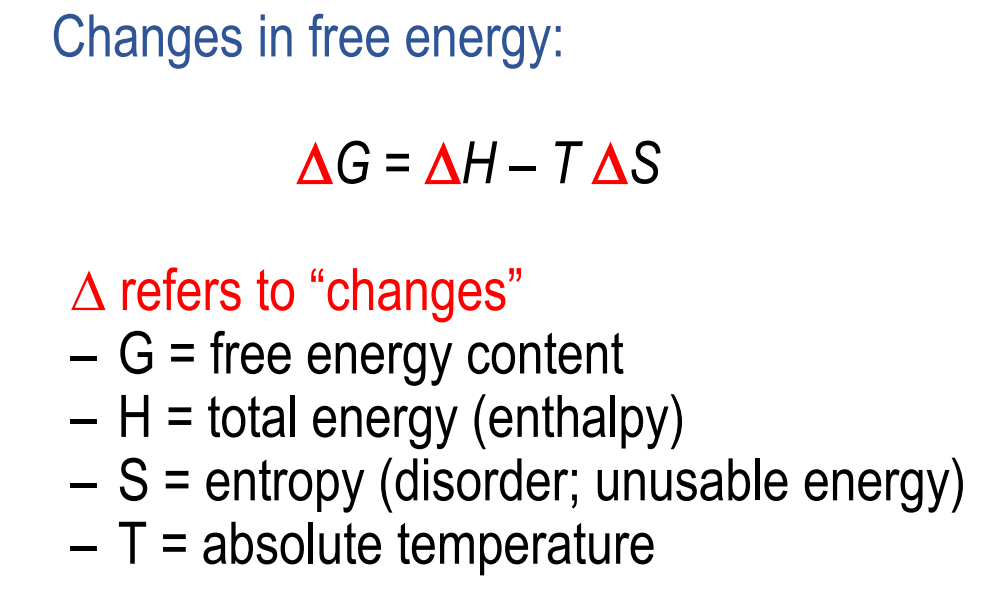 <ul><li><p>Free energy is a measure of the capacity of a system to do work</p></li><li><p>We can get a negative, positive or 0 answer this can tell us the type of reaction</p></li></ul><p></p>