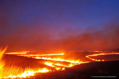<p>an event, caused by physical, chemical, or biological agents, resulting in changes in population size or community composition</p>