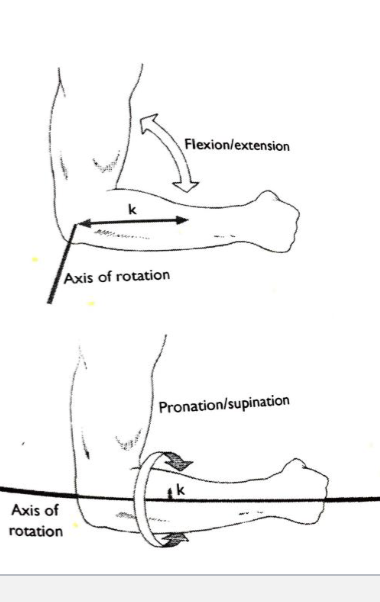 <p>-impractical to find the true moment of inertia</p><p>INSTEAD use Radius of Gyration = distance from the axis of rotation to a point where the body’s mass could be concentrated (aka where the bulk of muscle mass is) *CHANGES BASED ON AXIS OF ROTATION </p>