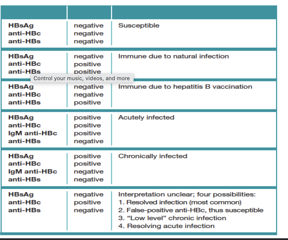 <ul><li><p>directed against HBeAg</p></li><li><p>indicates recovery from hep B</p></li></ul><p></p>