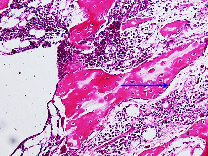 <p>Cấu trúc gì ?</p>