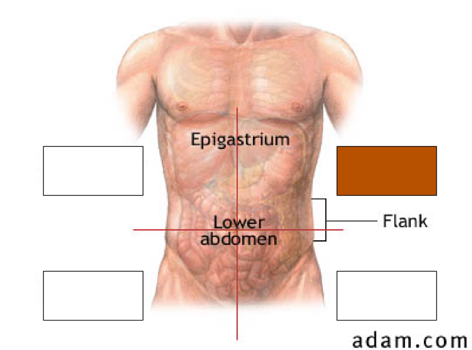 <p>left upper quadrant contains (3)</p>