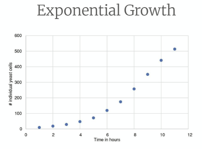 <p>What is this curve?</p>