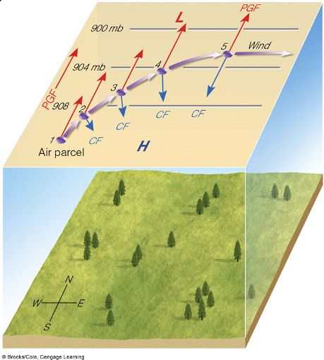 <ul><li><p>When at rest, PGF is only force</p></li><li><p>Straight flow: no centrifugal force, no turbulent drag due to being above boundary layer</p></li><li><p>CoF will increase as wind speed increases and will turn to make it perpendicular</p></li><li><p>Geostrophic: balance between PGF and CoF (parallel isobars)</p></li></ul><p></p>