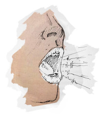 <p>voice, vote</p>