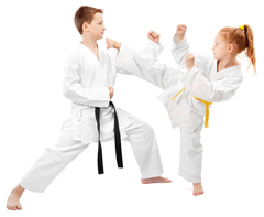 <p>Karate</p>