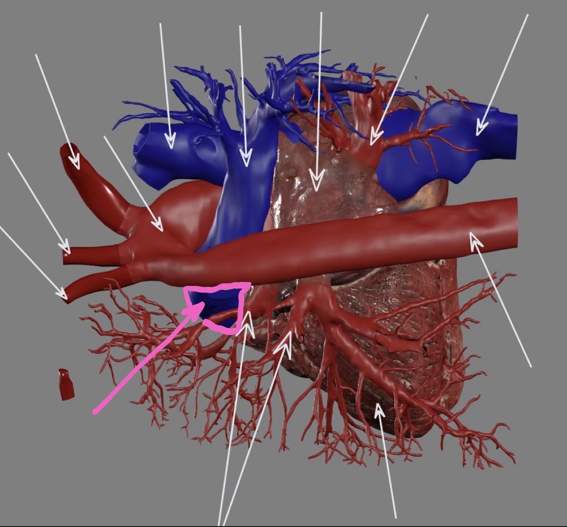 <p>What’s the highlighted area?</p>
