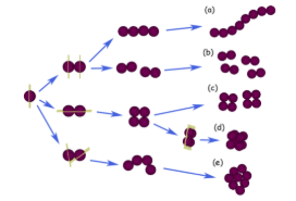 <p><span style="background-color: transparent;"><strong>Cell Arrangement Practice Question. Use this photo to answer the following questions:</strong></span></p><p><span style="background-color: transparent;"><strong>a) Which cocci are the result of division in two perpendicular planes?</strong></span></p><p><span style="background-color: transparent;"><strong>b) Staphylococci are the result of division in randomly oriented planes. Which are staphylococci? </strong> </span></p><p><span style="background-color: transparent;">(Lecture #3-4 Questions)</span></p>