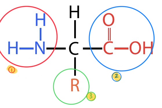 <p>what does this image depict?</p>