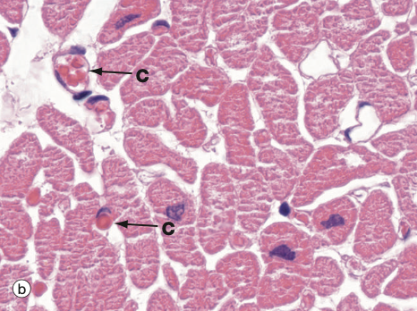 <p>Identify Which partition this is and Where?</p>