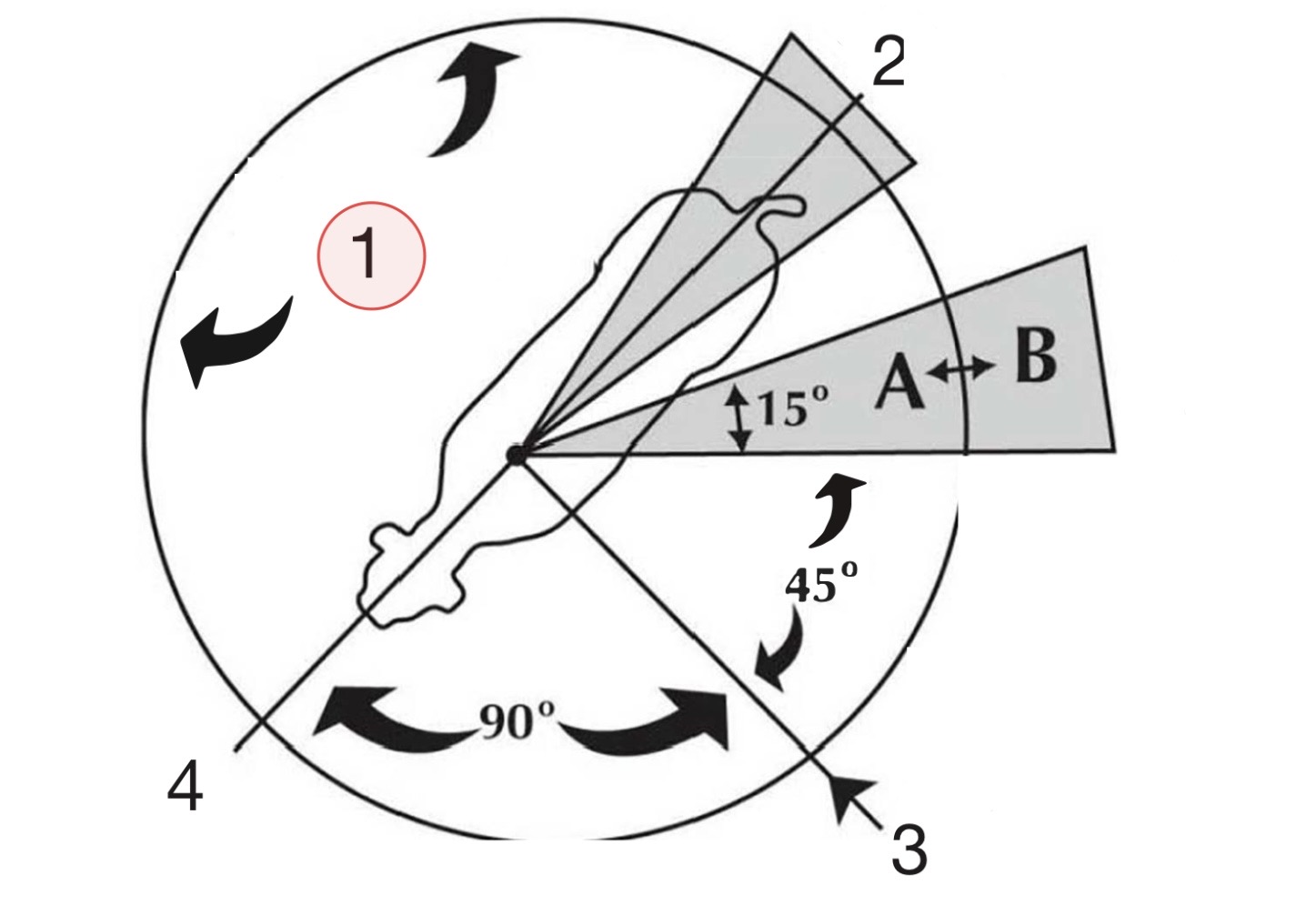 <p>Identify 1</p>