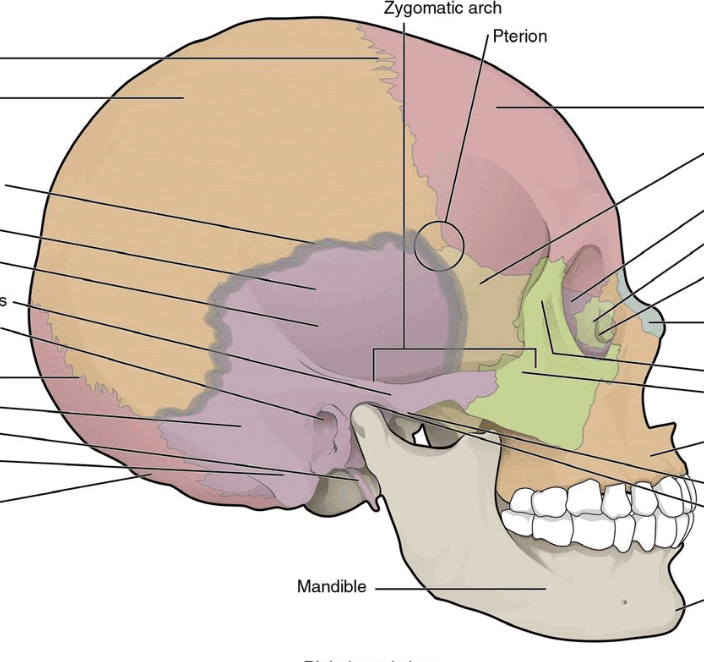 <p>What is the grey line?</p>