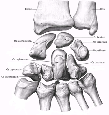 term image