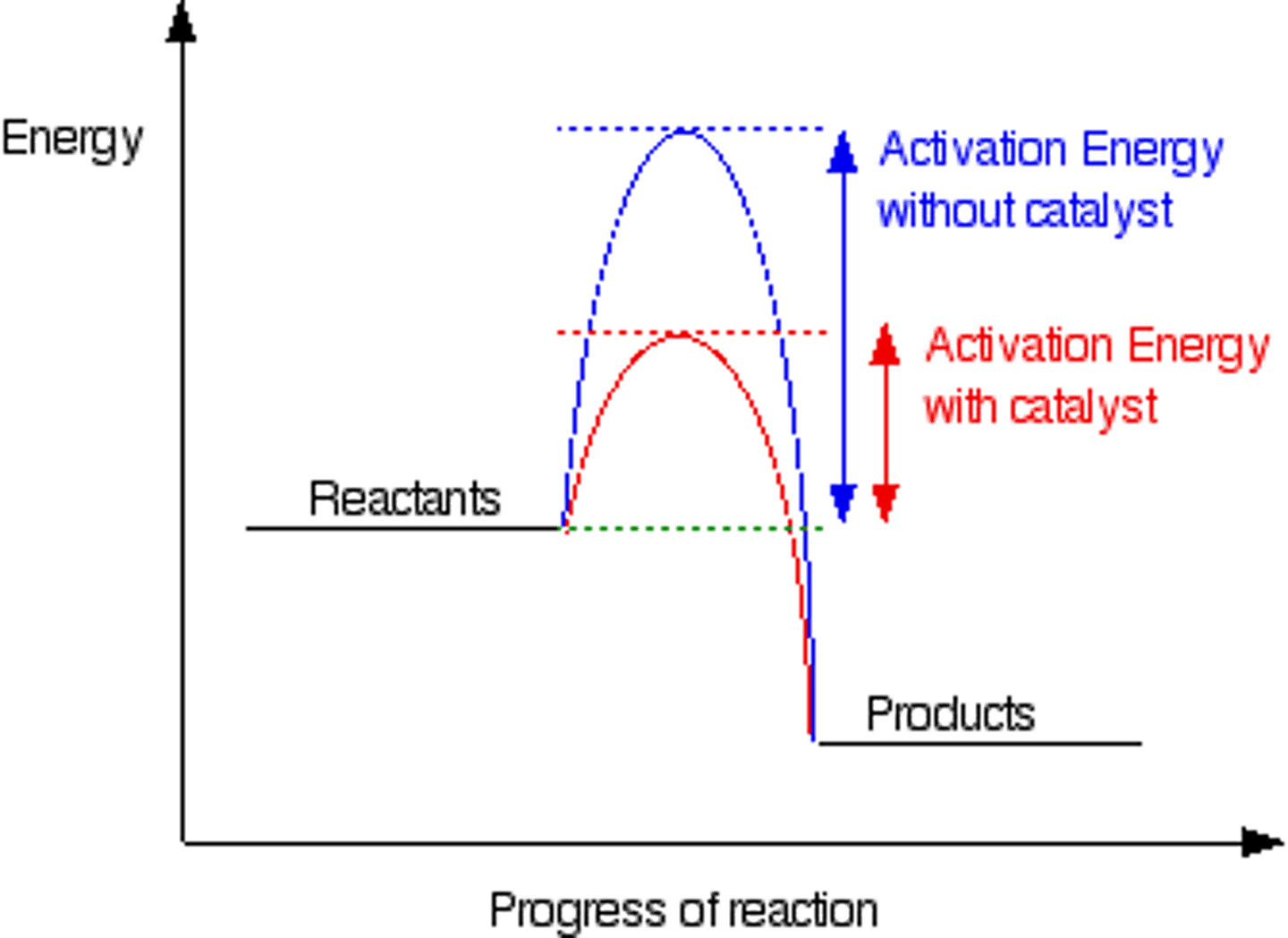 <p>The energy required for a chemical reaction to occur.</p>