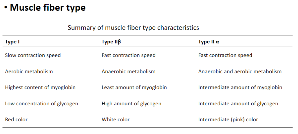 <p><strong>Type I (Slow Twitch)</strong><br> <strong>Slow contraction speed</strong><br> Uses <strong>aerobic metabolism</strong><br> <strong>Highest myoglobin content</strong><br> <strong>Low glycogen</strong> concentration (since glycogen is used to make the glucose)<br> <strong>Red color</strong></p><p><strong>Type IIβ (Fast Glycolytic)</strong><br> <strong>Fast contraction speed</strong><br> Uses <strong>anaerobic metabolism</strong><br> <strong>Least myoglobin</strong><br> <strong>High glycogen</strong> content<br> <strong>White color</strong></p><p><strong>Type IIα (Fast Oxidative-Glycolytic)</strong><br> <strong>Fast contraction speed</strong><br> Uses <strong>both aerobic and anaerobic metabolism</strong><br> <strong>Intermediate myoglobin</strong><br> <strong>Intermediate glycogen</strong><br> <strong>Intermediate (pink) color</strong></p>