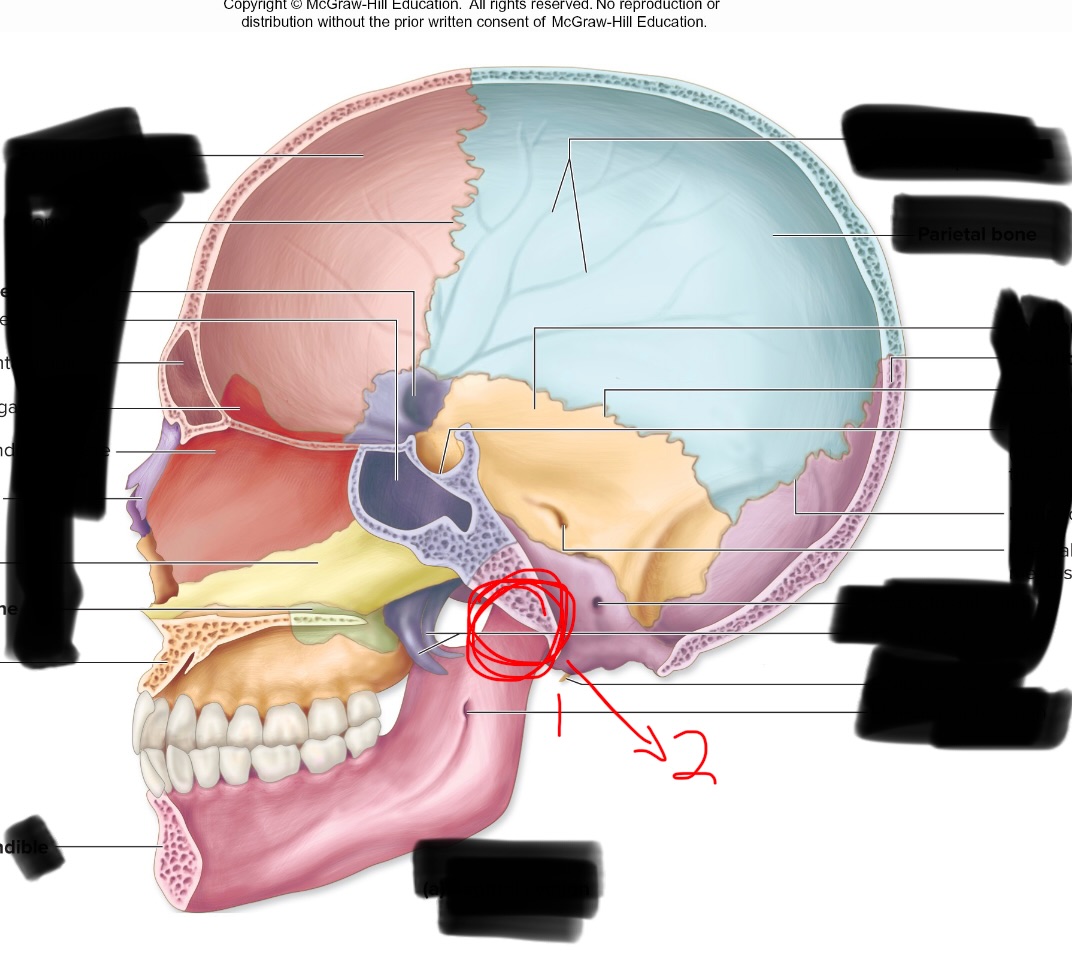 <p>1</p>