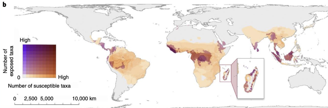 <ul><li><p>Critical changes in distribution of primate habitats</p></li><li><p>Large time scale but small compared to evolutionary time scale of primate diversification</p></li></ul><p></p>