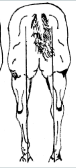 <p>what is this an image of</p>