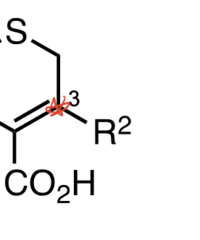 <p>modifies PK, including stability, solubility, metabolism, and excretion</p>