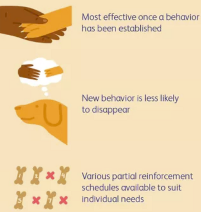 <p>Partial schedule of reinforcement</p>
